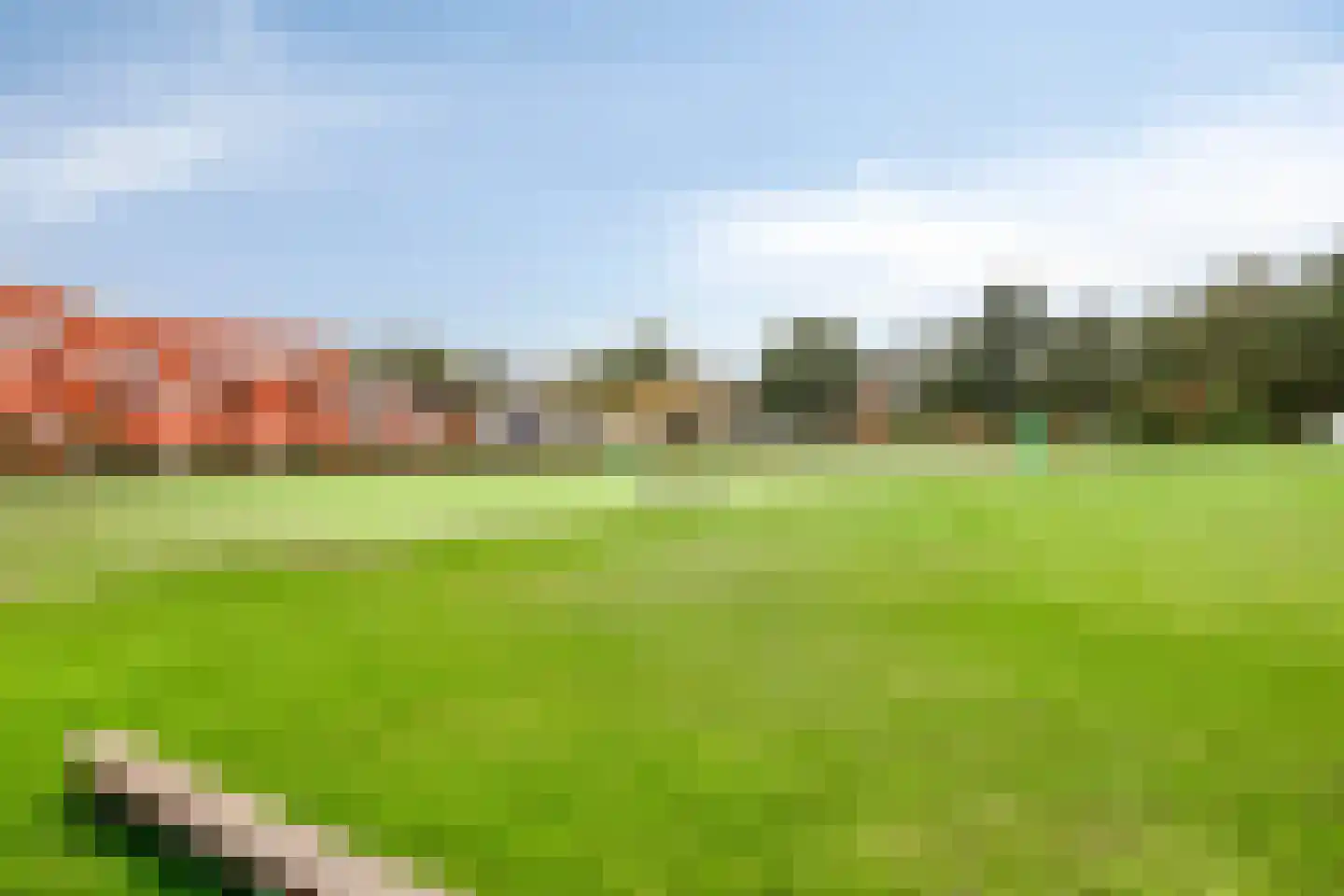 Schepenhoek 215 Uden thumbnail 29