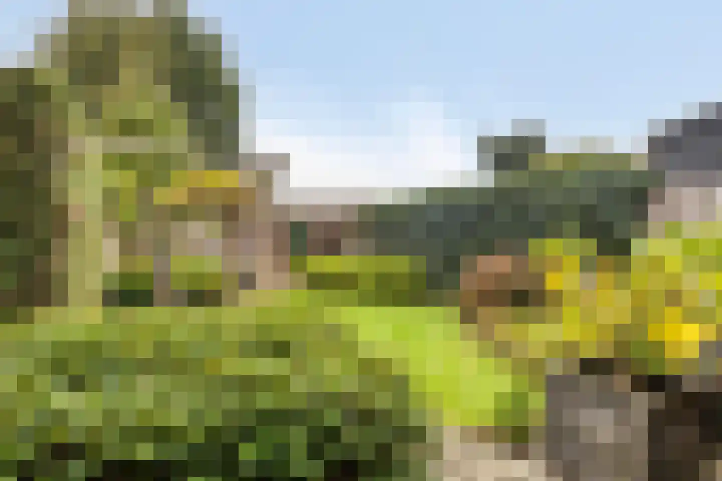 Schepenhoek 215 Uden thumbnail 4