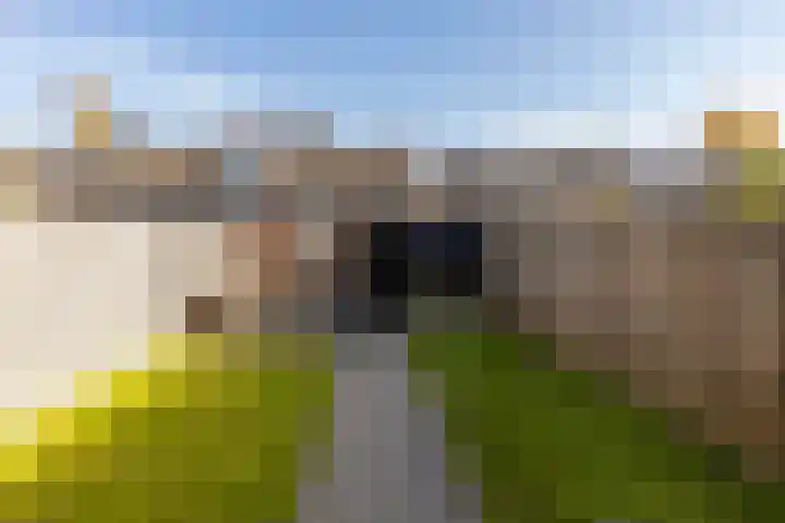 Schepenhoek 230 Uden thumbnail 25