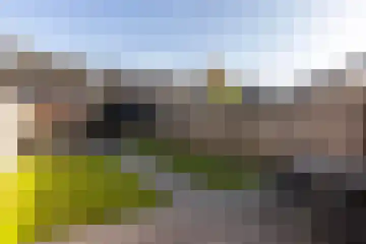 Schepenhoek 230 Uden thumbnail 26