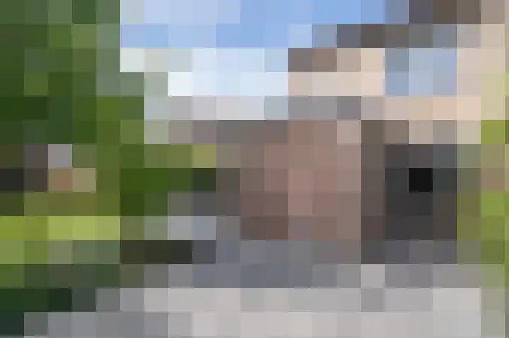 Schepenlaan 1 Asperen thumbnail 29