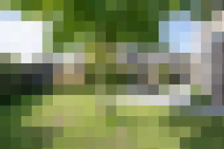 Schepenlaan 1 Asperen thumbnail 33