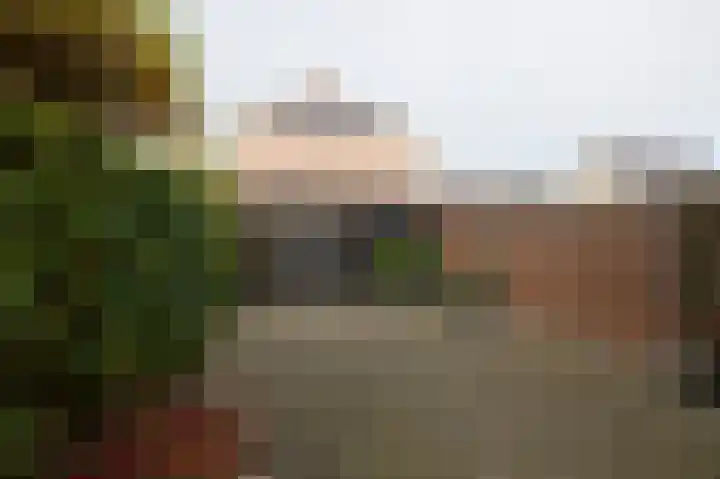 Schepenlaan 14 Terneuzen thumbnail 14