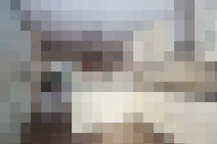 Schepenlaan 14 Terneuzen thumbnail 7