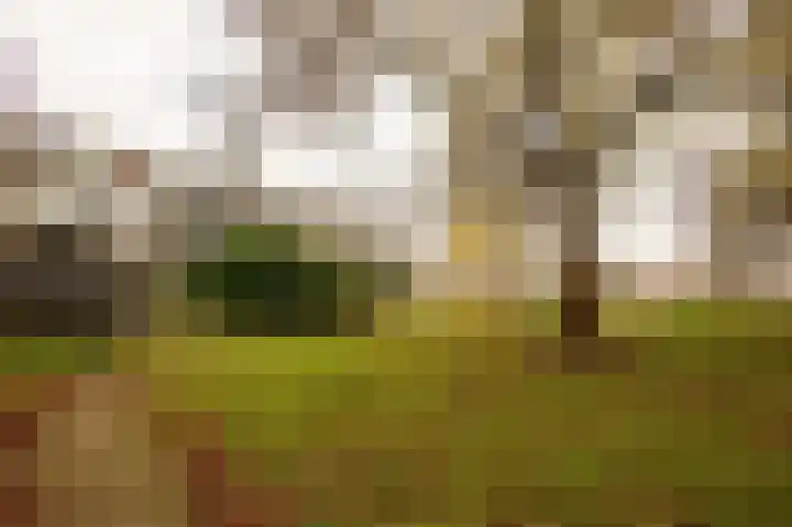 Schepenlaan 31 Amsterdam thumbnail 11