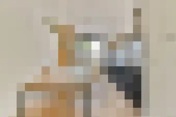 Schepenlaan 31 Amsterdam thumbnail 12