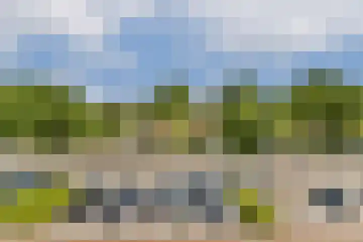 Schepenlaan 31 Amsterdam thumbnail 29