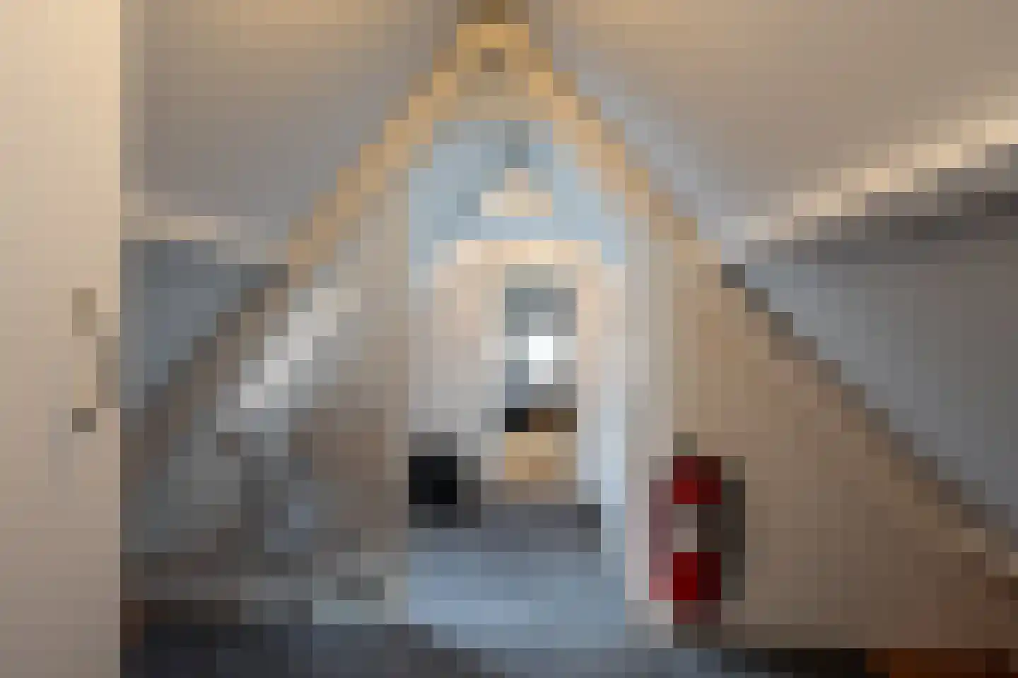 Schepenlaan 31 Amsterdam thumbnail 34
