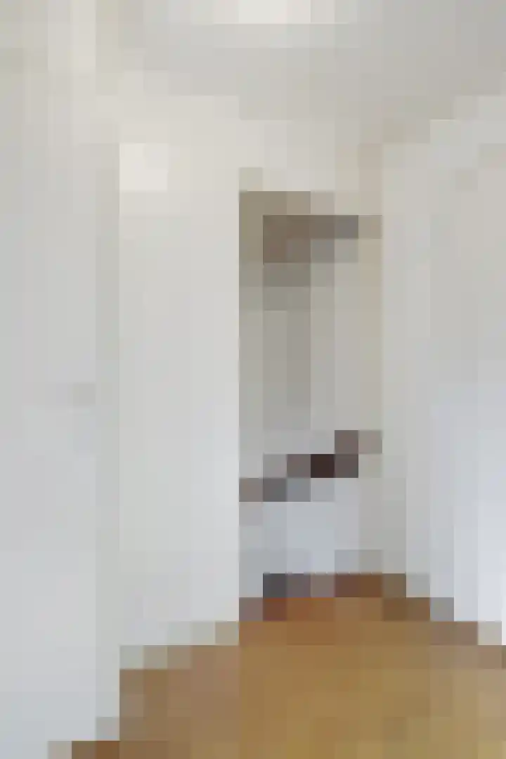 Schepenlaan 31 Amsterdam thumbnail 35