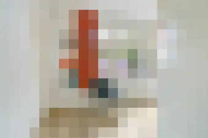 Schepenlaan 31 Amsterdam thumbnail 4