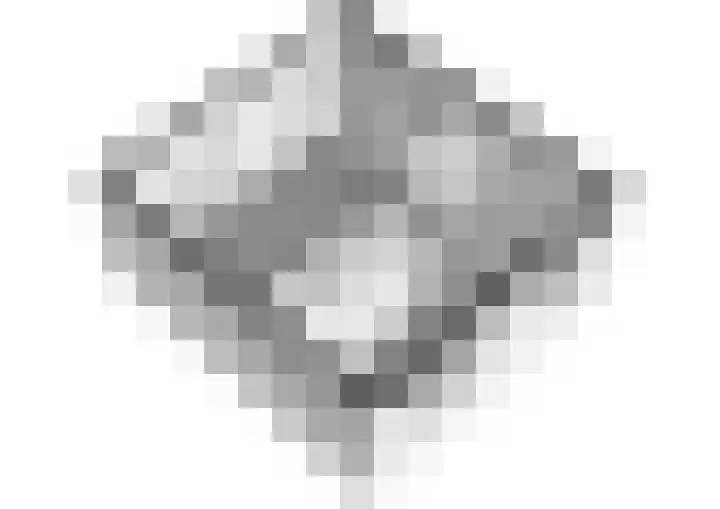 Schepenlaan 31 Amsterdam thumbnail 43
