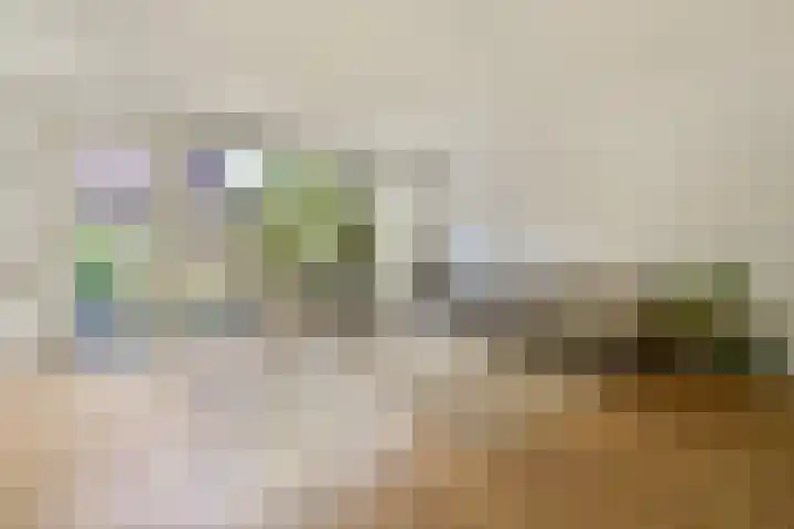 Schepenlaan 31 Amsterdam thumbnail 7
