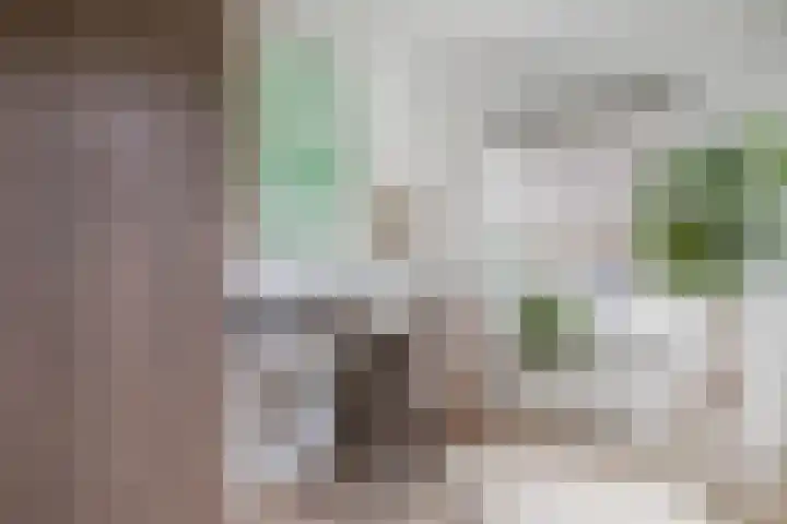 Schepenmakersdijk 16 e Edam thumbnail 21