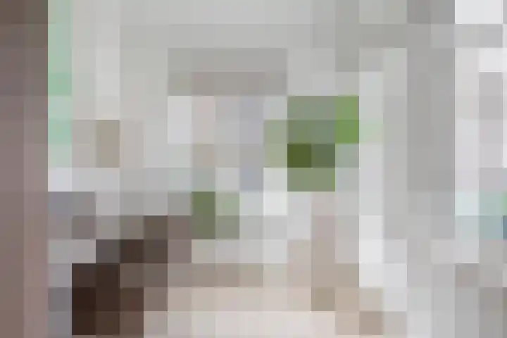 Schepenmakersdijk 16 e Edam thumbnail 22