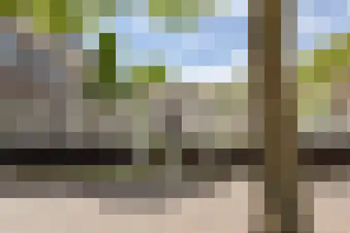 Schepenmakersdijk 16 e Edam thumbnail 37