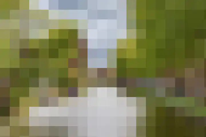 Schepenmakersdijk 16 e Edam thumbnail 38