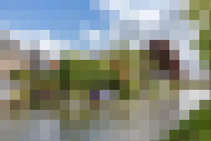 Schepenmakersdijk 16 e Edam thumbnail 4