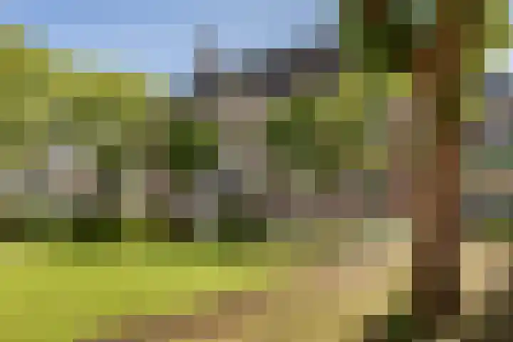 Schepenmakersdijk 16 e Edam thumbnail 6