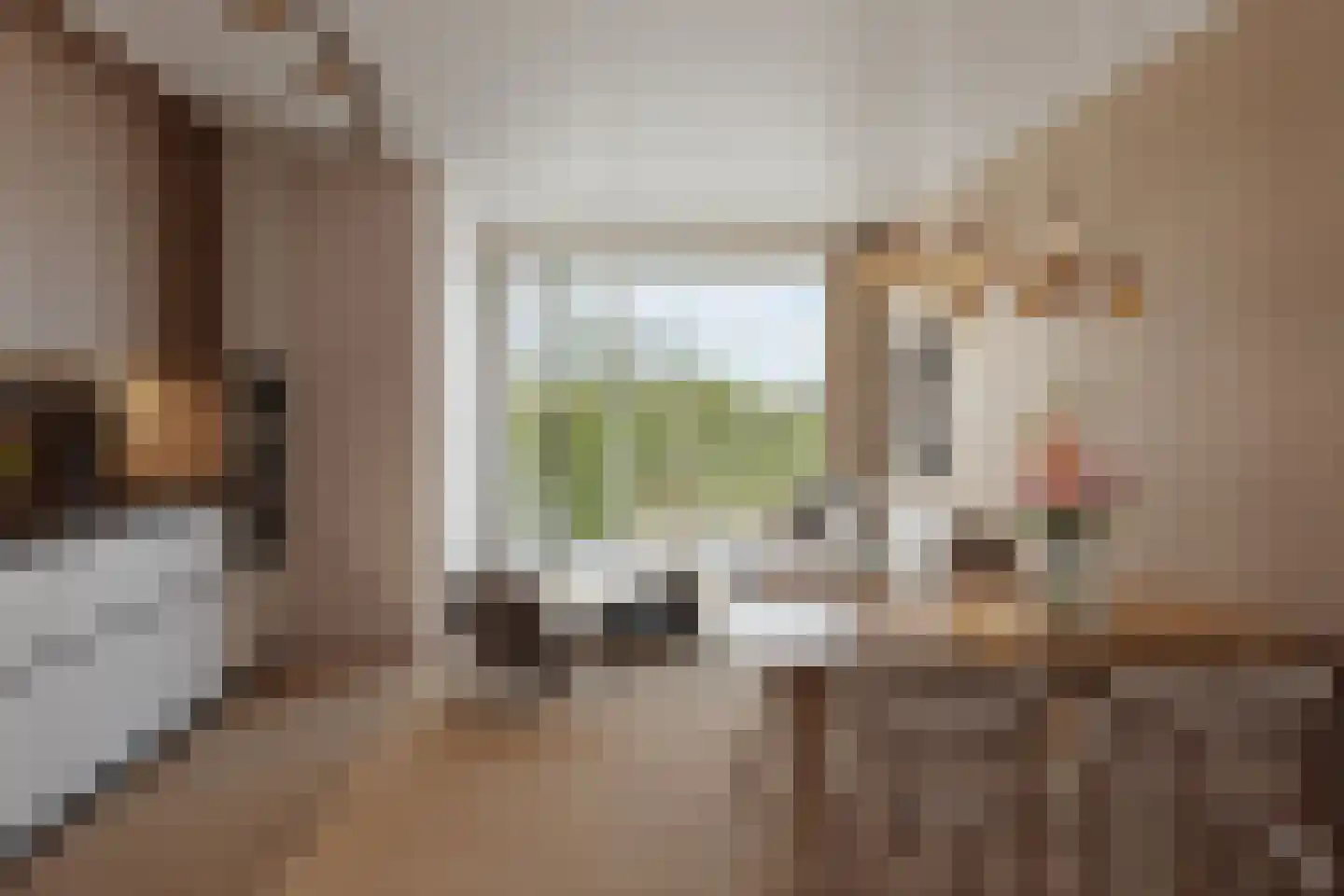 Schepenpad 110 Spijkenisse