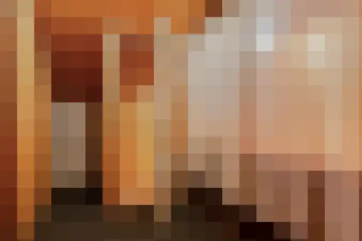 Schepenstraat 10 Baexem thumbnail 31