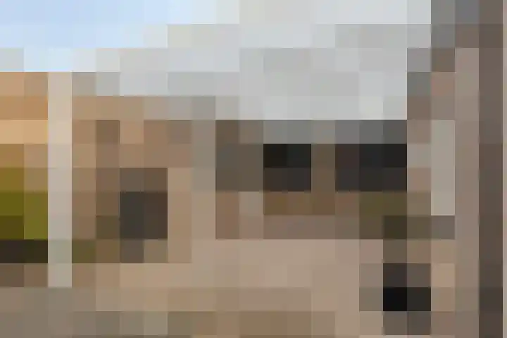 Schepenstraat 10 Baexem thumbnail 36