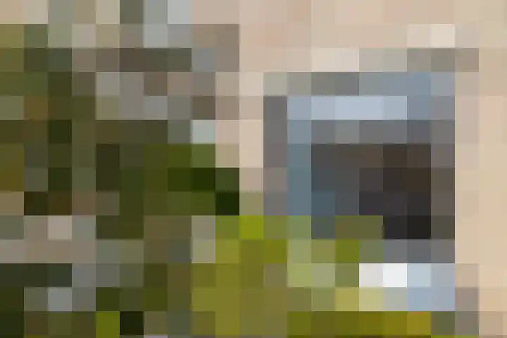 Schepenstraat 10 Baexem thumbnail 4