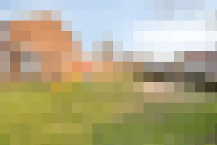 Schepenstraat 10 Baexem thumbnail 41