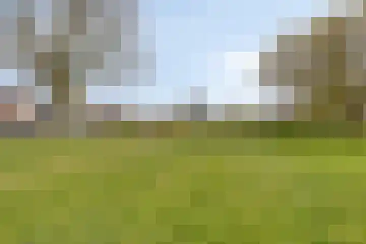 Schepenstraat 10 Baexem thumbnail 42