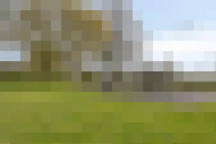 Schepenstraat 10 Baexem thumbnail 43