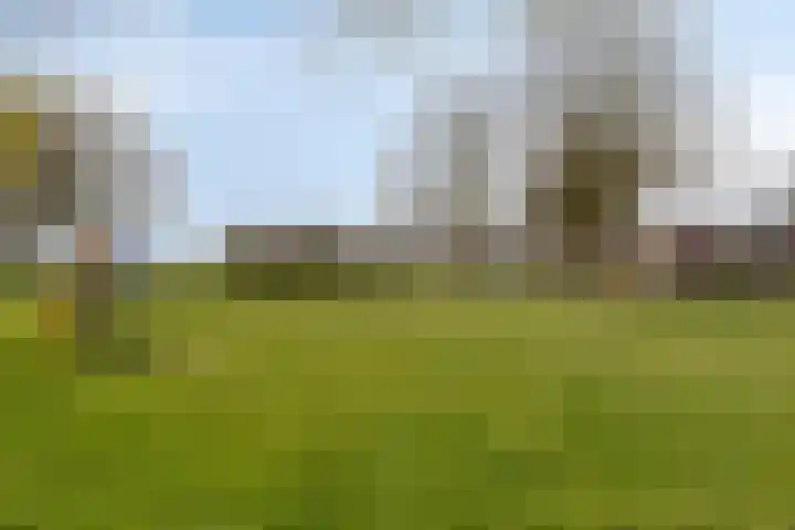 Schepenstraat 10 Baexem thumbnail 44