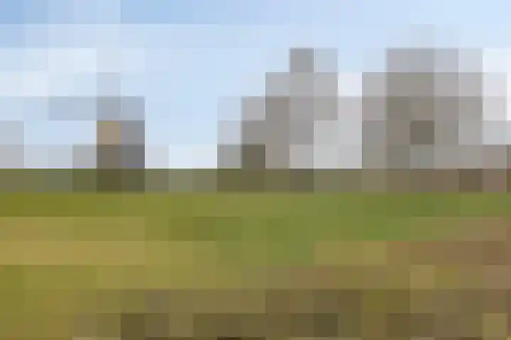 Schepenstraat 10 Baexem thumbnail 45