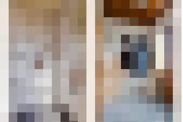 Schepenstraat 10 Baexem thumbnail 5