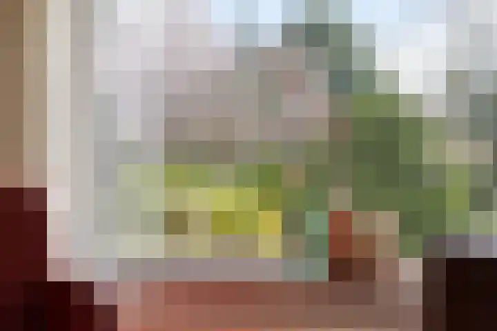 Schepenstraat 10 Baexem thumbnail 7