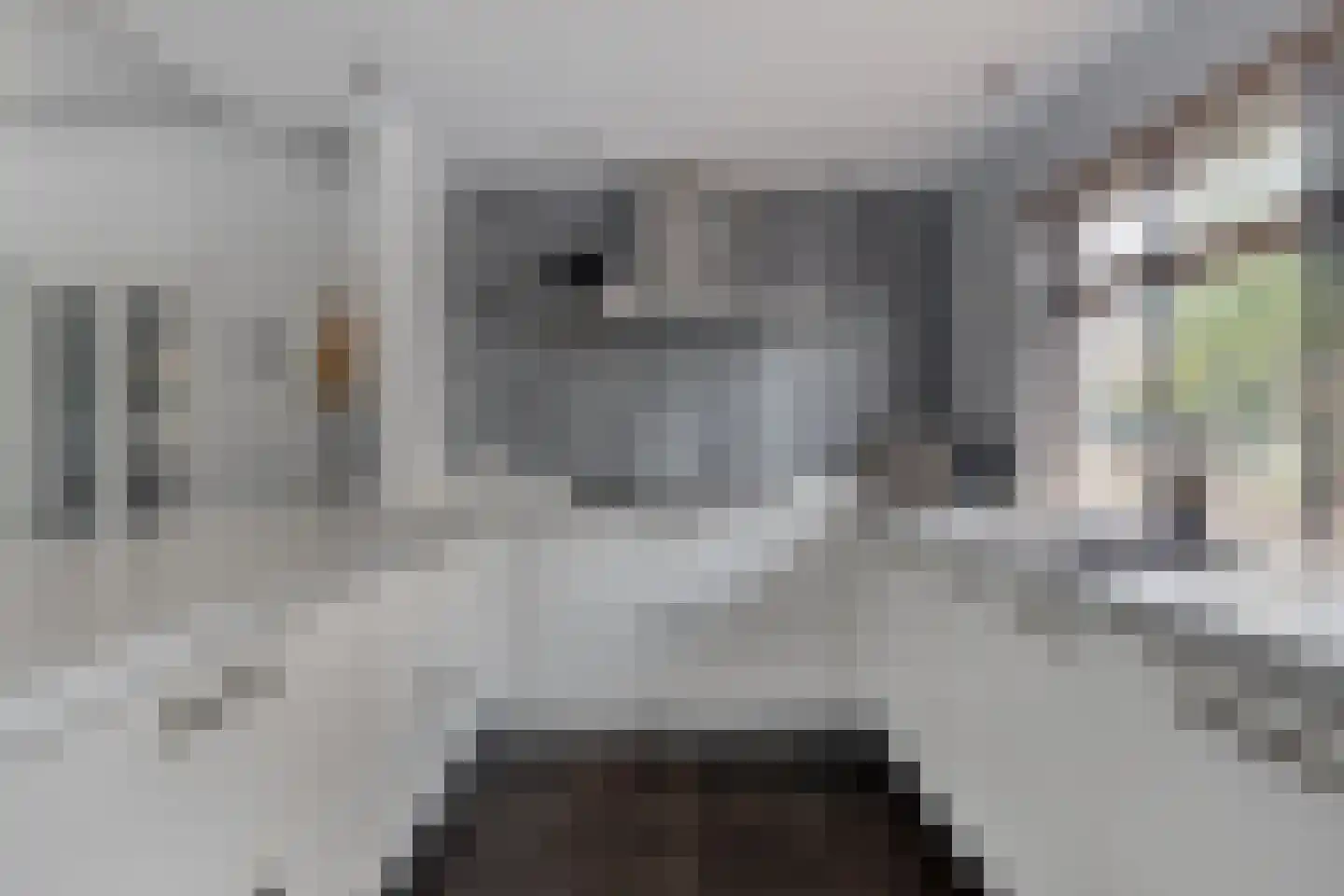 Schepenstraat 2 's-Hertogenbosch thumbnail 12