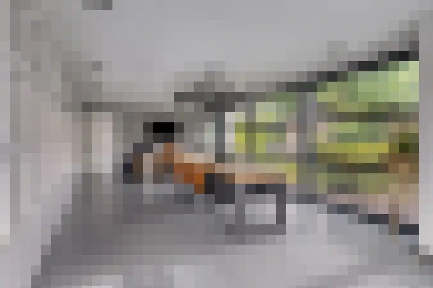 Schepenstraat 2 's-Hertogenbosch thumbnail 17