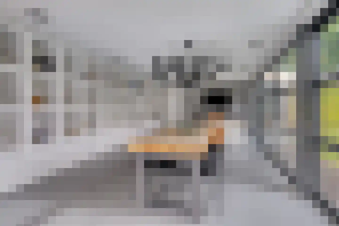 Schepenstraat 2 's-Hertogenbosch thumbnail 18