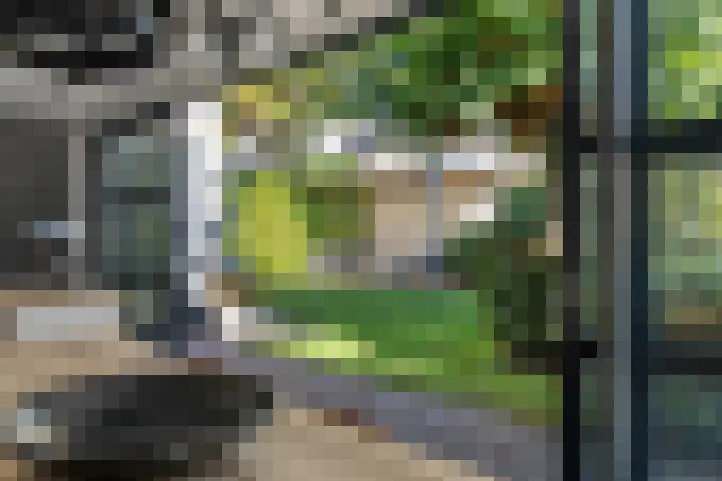Schepenstraat 2 's-Hertogenbosch thumbnail 19