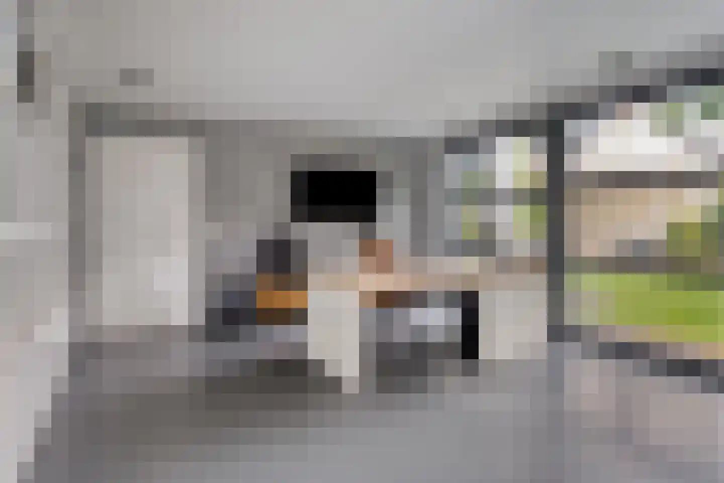 Schepenstraat 2 's-Hertogenbosch thumbnail 20