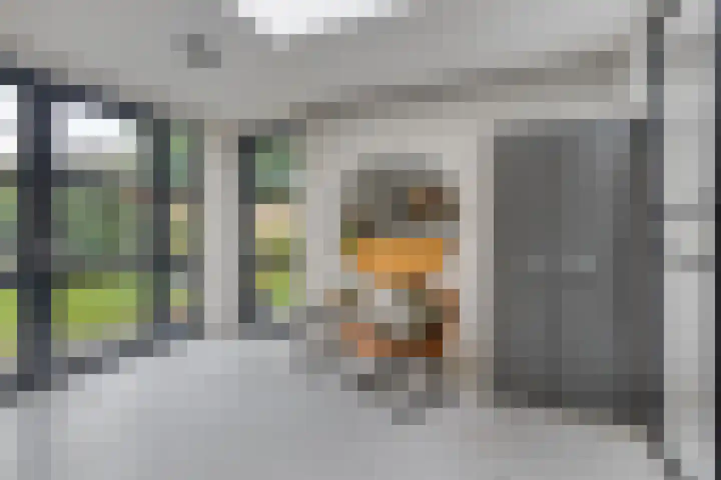 Schepenstraat 2 's-Hertogenbosch thumbnail 23