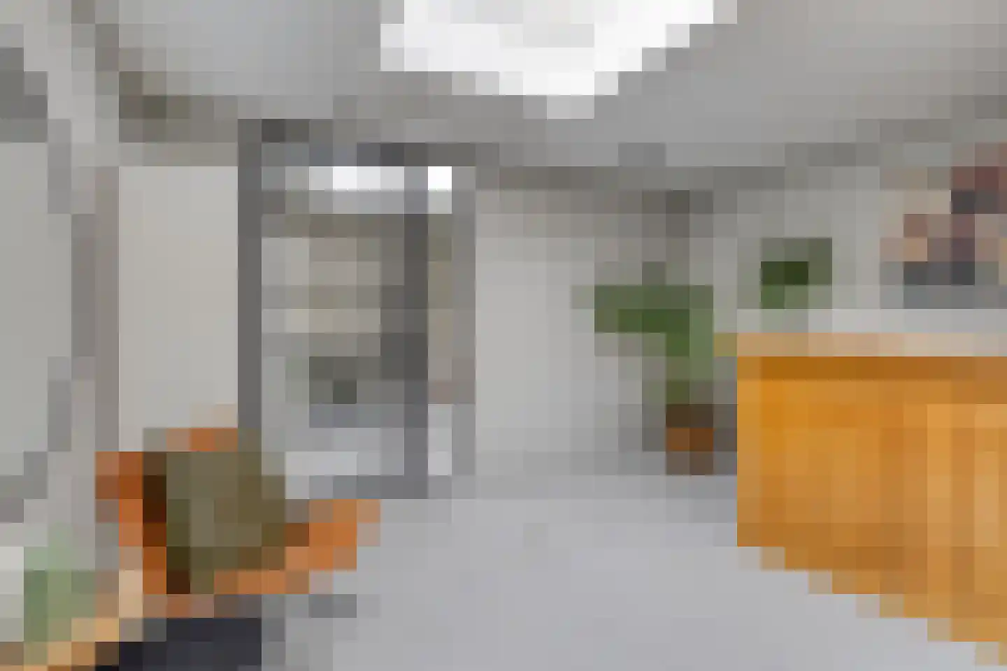Schepenstraat 2 's-Hertogenbosch thumbnail 24