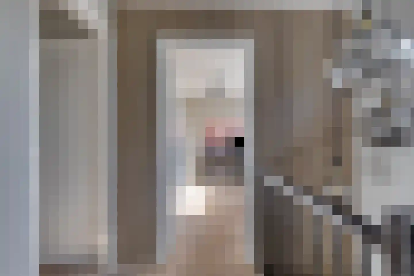 Schepenstraat 2 's-Hertogenbosch thumbnail 33