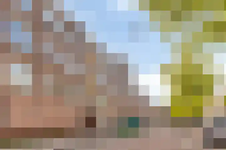 Schepenstraat 2 's-Hertogenbosch thumbnail 36