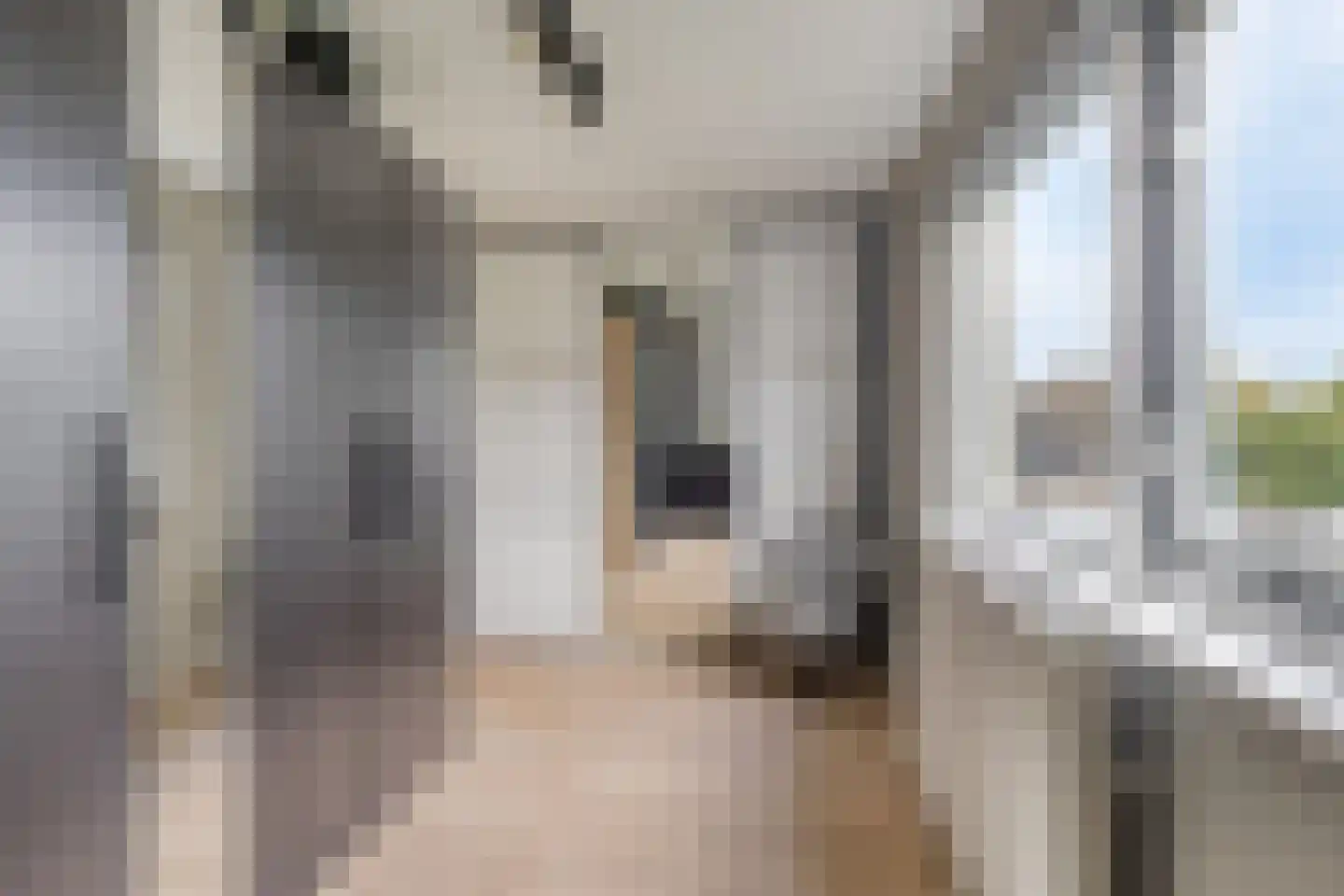 Schepenstraat 2 's-Hertogenbosch thumbnail 36