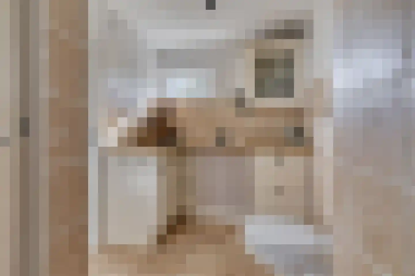 Schepenstraat 2 's-Hertogenbosch thumbnail 38