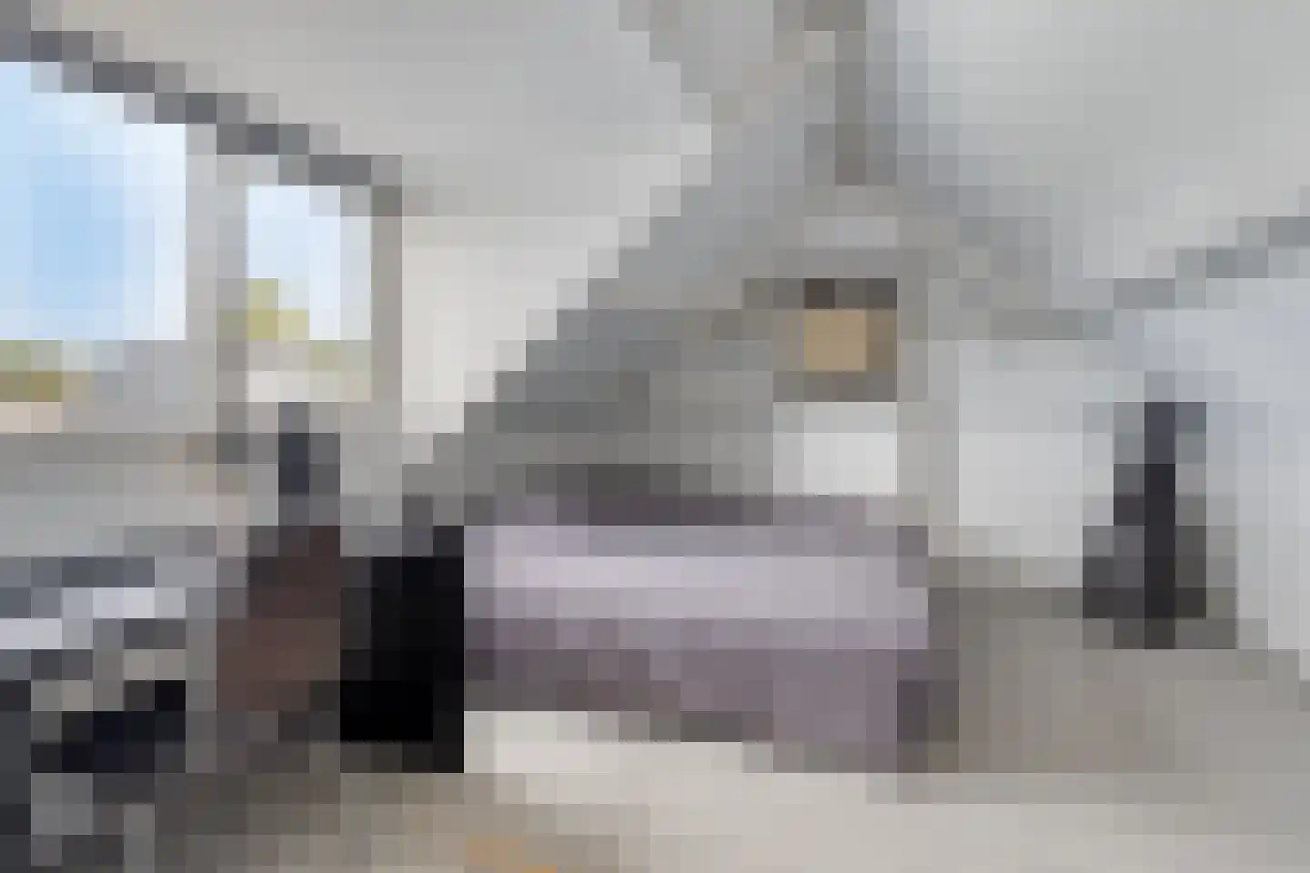 Schepenstraat 2 's-Hertogenbosch thumbnail 43