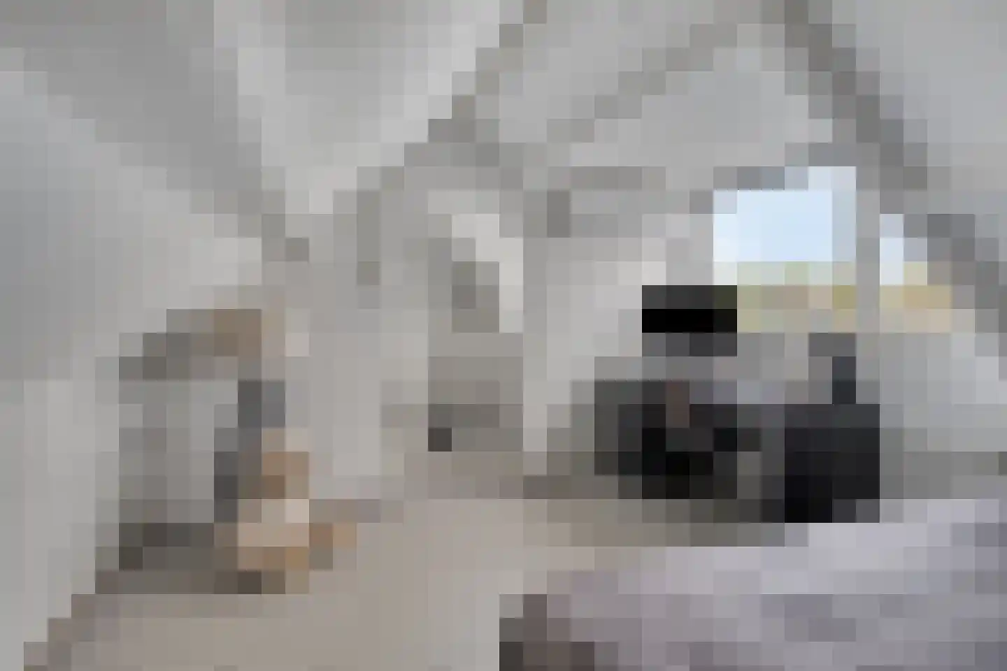 Schepenstraat 2 's-Hertogenbosch thumbnail 44