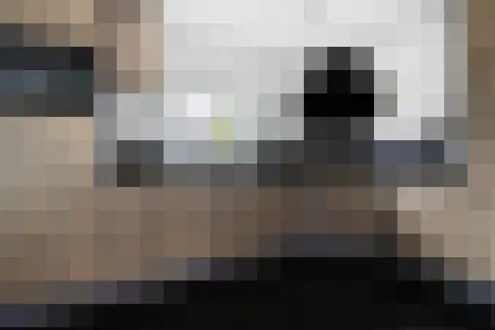 Schepenstraat 25 Geulle thumbnail 10