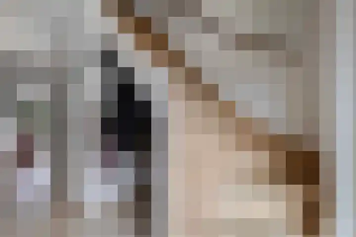 Schepenstraat 25 Geulle thumbnail 22