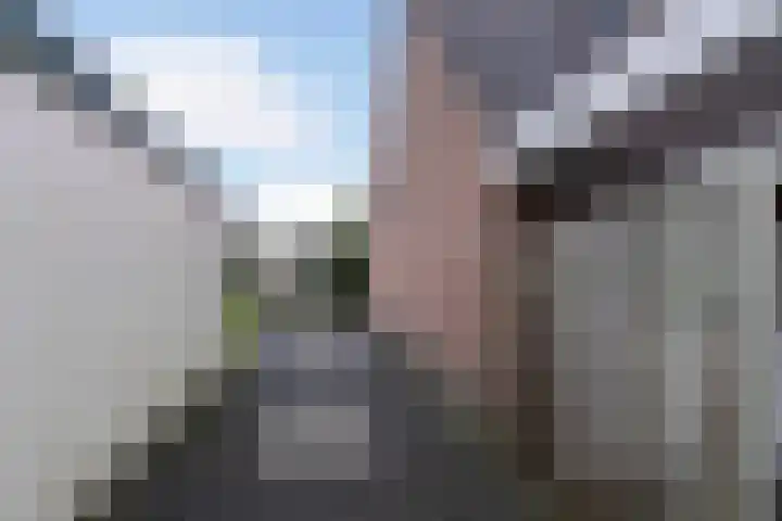 Schepenstraat 25 Geulle thumbnail 36