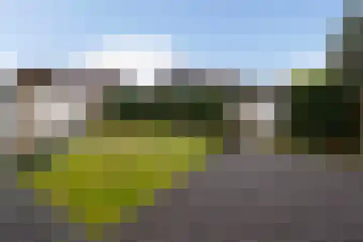 Schepenstraat 25 Geulle thumbnail 37